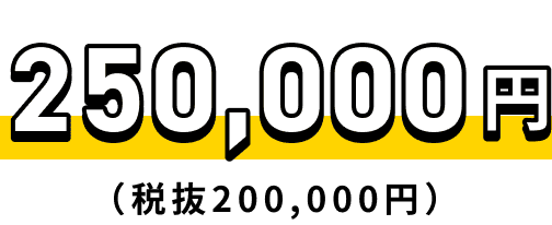 250,000円（税抜200,000円）