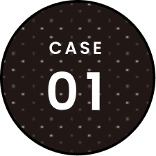 CASE01