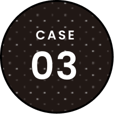 CASE03