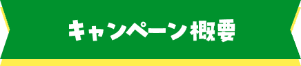 キャンペーン概要