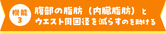 内臓脂肪とウエスト周囲径を減らすのを助ける