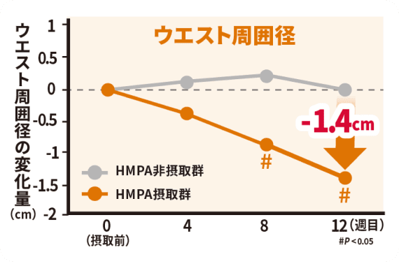 ウエスト周囲径の変化量のグラフ