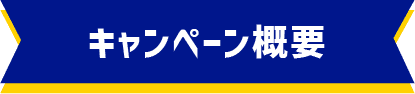 キャンペーン概要