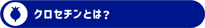 クロセチンとは？